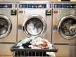 Best Commercial Washers and Dryers For Lease in Austin TX