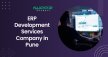 Expert ERP Development Services Company in Pune