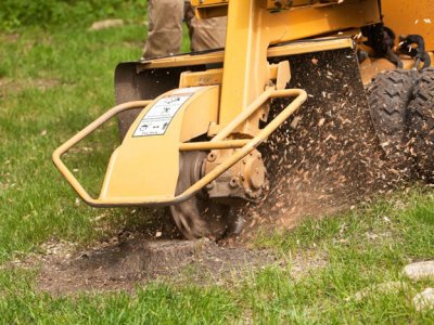 Commercial Landscaping Services Company in Pasadena TX