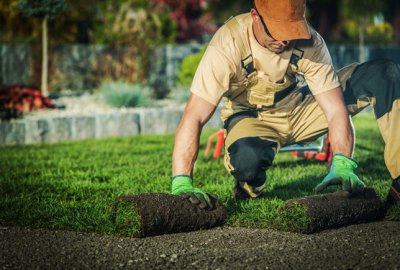 Commercial Xeriscape Landscaping Services in Dallas TX