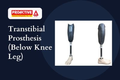 Below Knee Prosthesis (Transtibial) Manufacturer in India