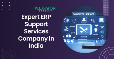 Expert ERP Support Services Company in India